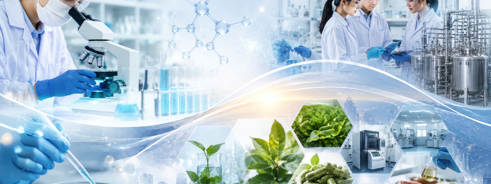 Total Solution innovation service